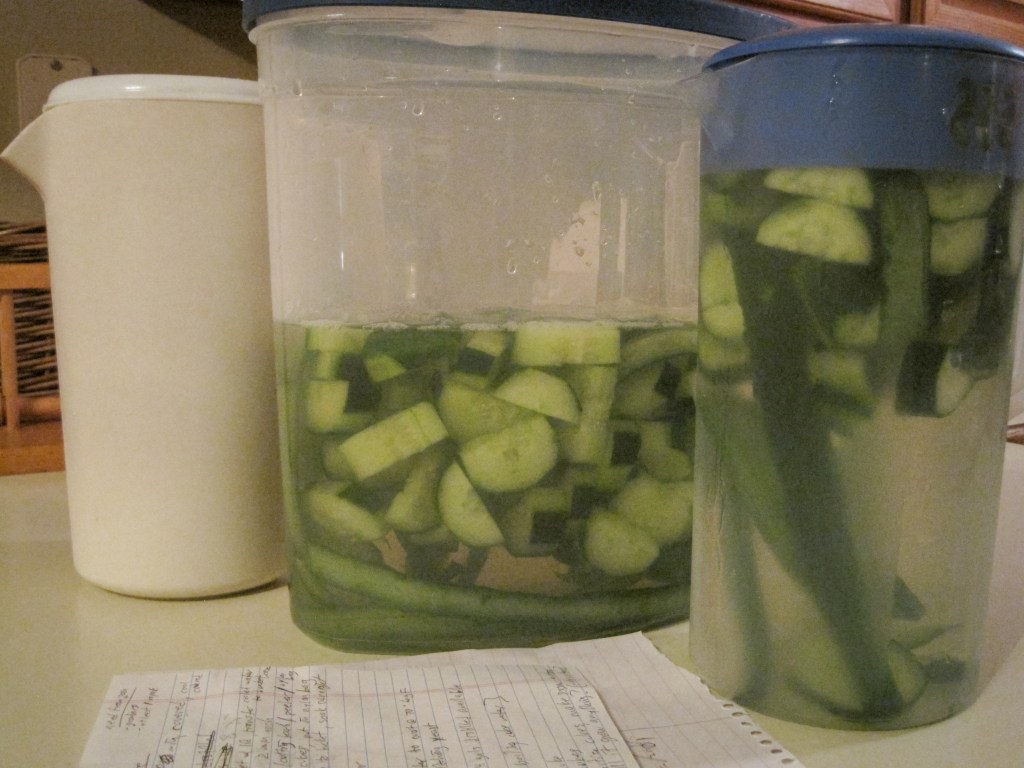 Layger Brewhaus Tossed Salad Cucumber-Celery Hydration Pilsner