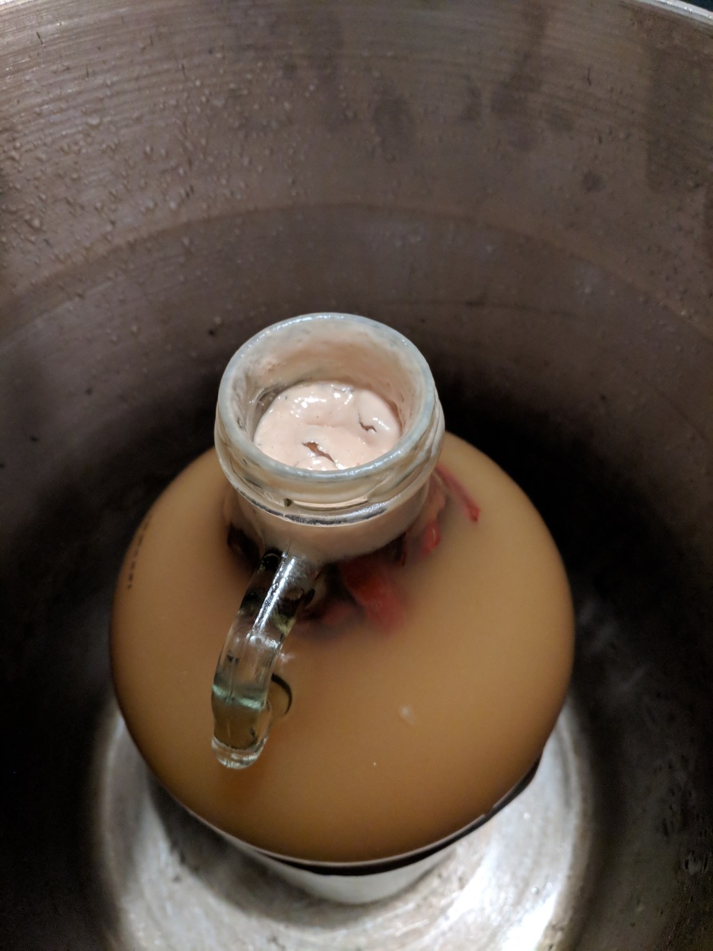 Super Simple Hard Cider Recipe: No Sanitizer or Special Gear